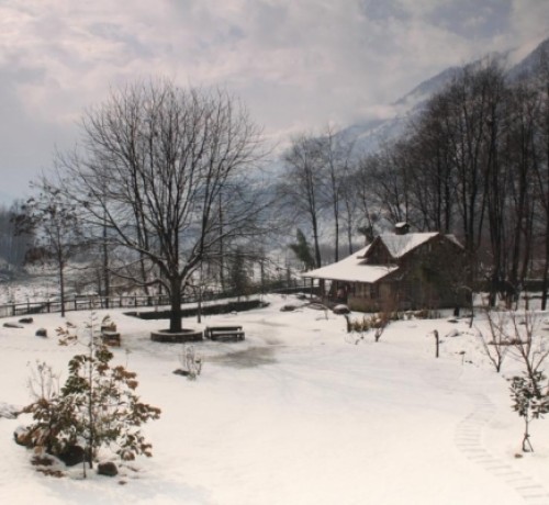 View at Winter View at Winter