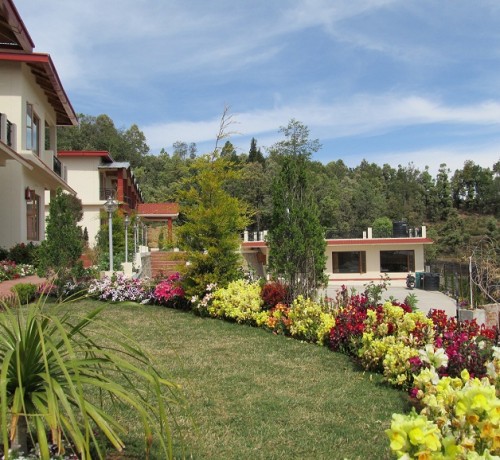Garden Area