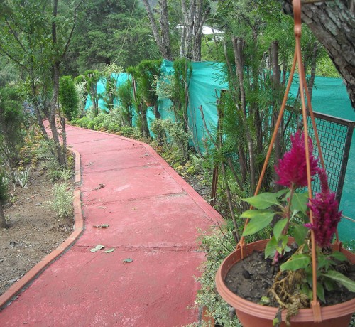 Walking Track Walking Track