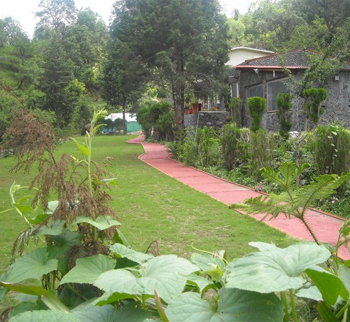 Garden View Garden View