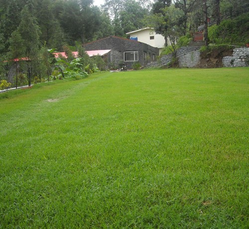 Garden Garden