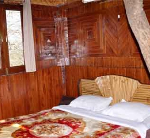 Tree Top Cottage