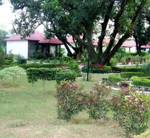 Garden Area Garden Area