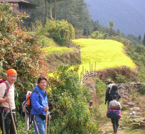 Outdoor Activity