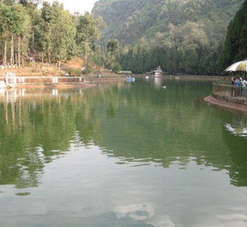 Beautiful Landscape