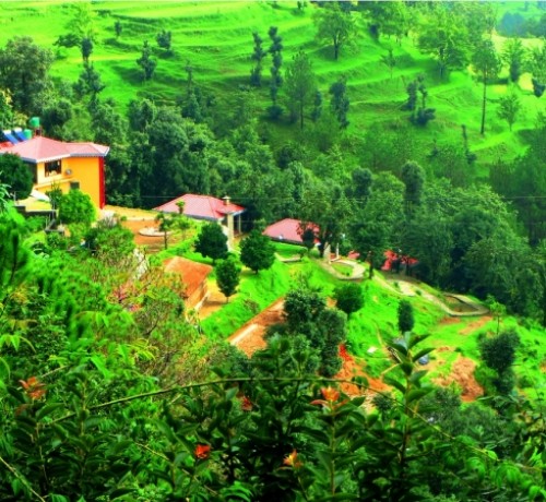 Panoramic View