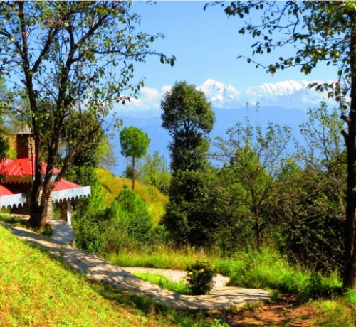 Nature view