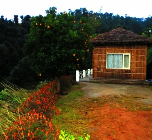 Cottage View