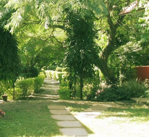 Lawn Lawn
