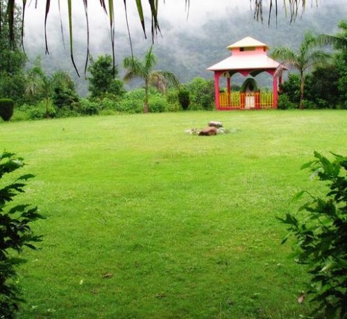 Garden View Garden View