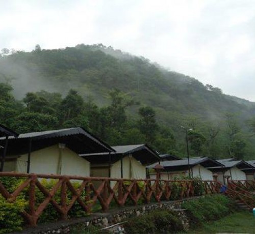 Camp View