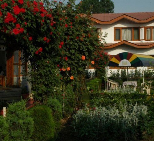Lawn