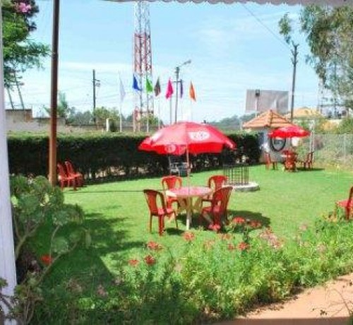 Lawn Area