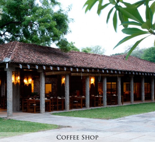 Coffee Shop Coffee Shop