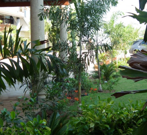 Garden Area Garden Area