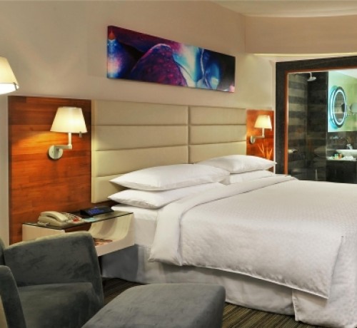 Plush Room Plush Room