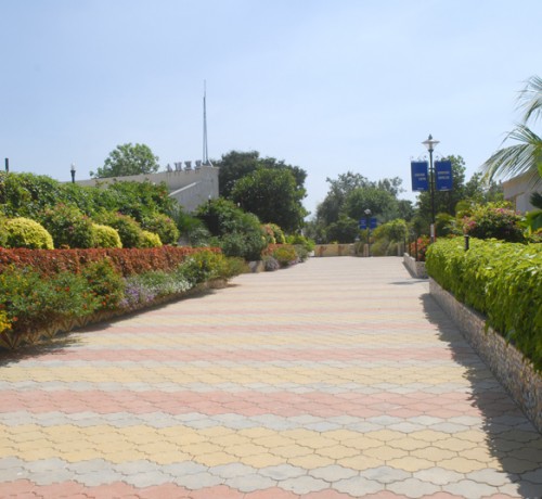 Garden Area