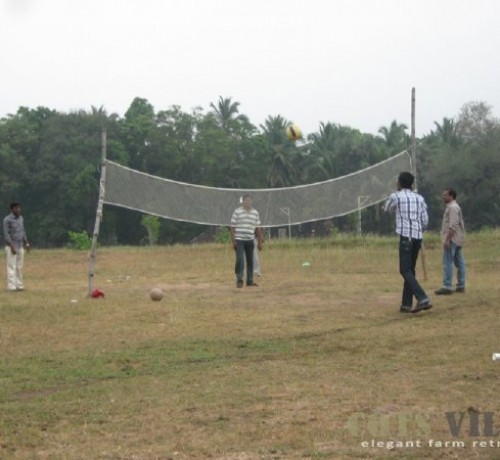 Volley Ball