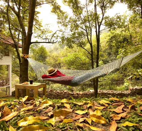 Hammock Hammock