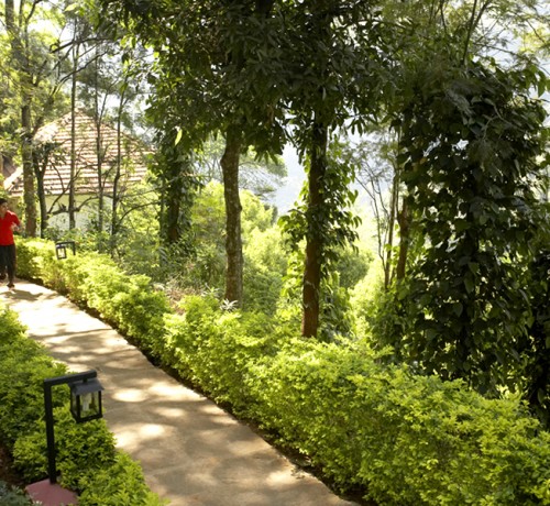 Pathway Pathway
