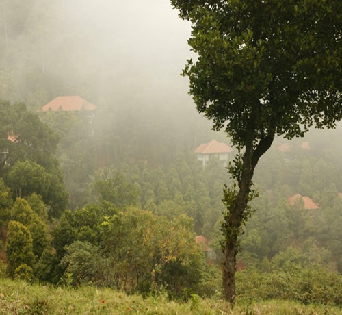 Serene Landscape Serene Landscape