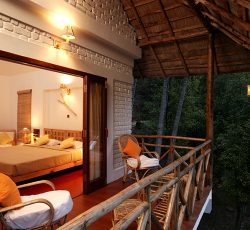 Tree House Tree House