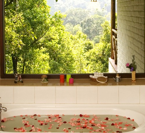 Bathtub Bathtub