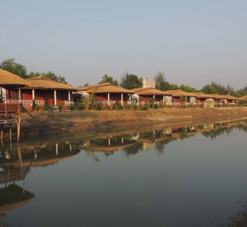 Serene Landscape