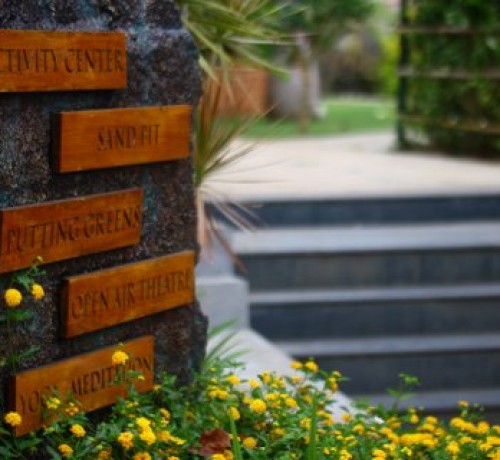 Activities
