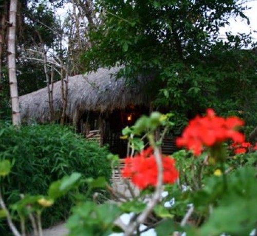 Coffee Hut