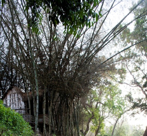 Trekking