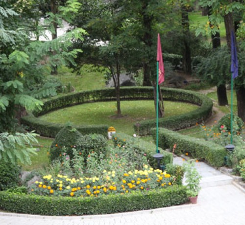 Lawn Area