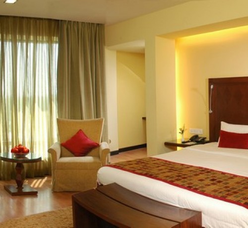 Plush Room Interior Plush Room Interior