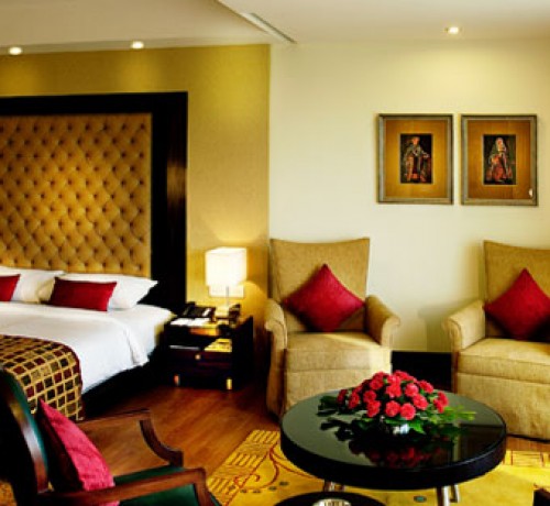Luxurious Room Luxurious Room