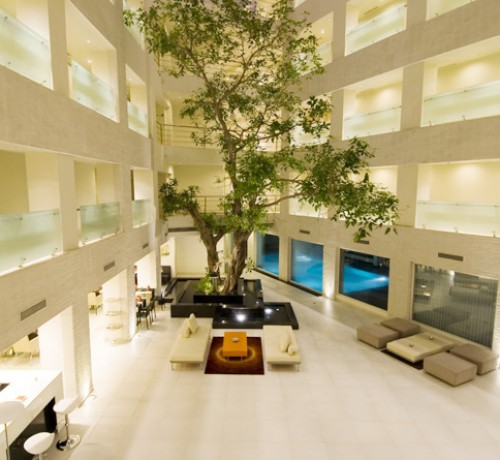 Courtyard from Top