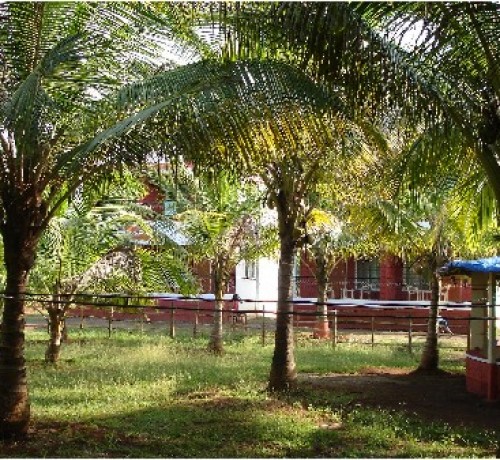 Garden1