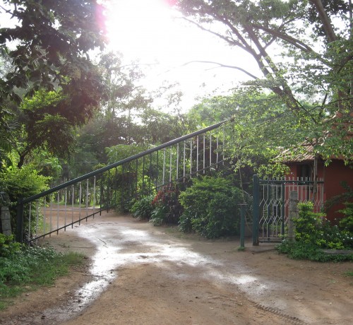 Entrance Entrance