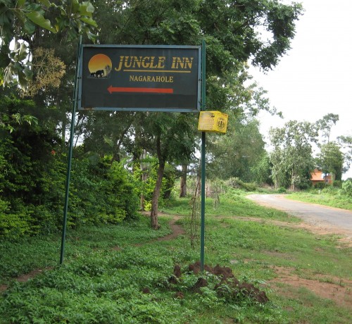 Jungle inn Jungle inn