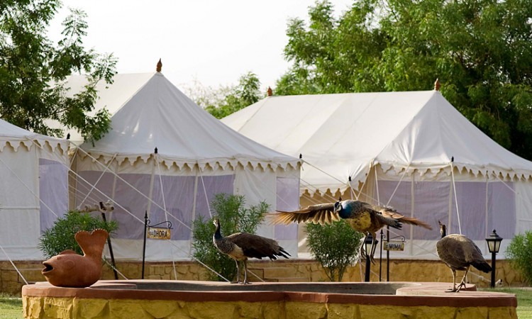 Tents at the resort Tents at the resort