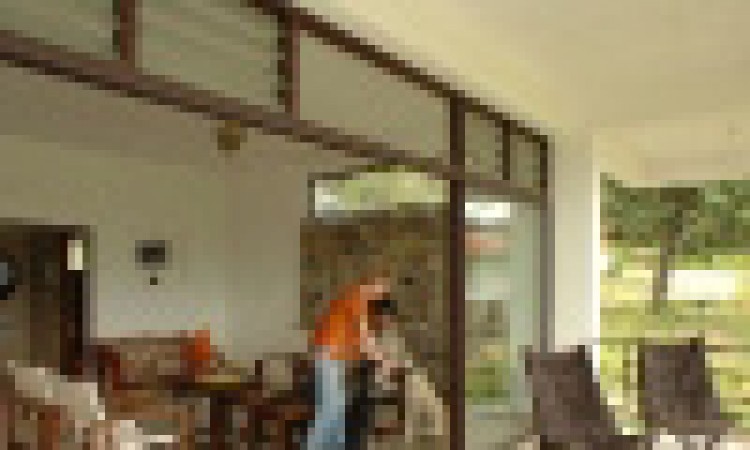 Dhole's Den Dhole's Den
