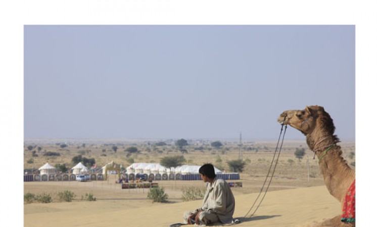 Camel safari Camel safari