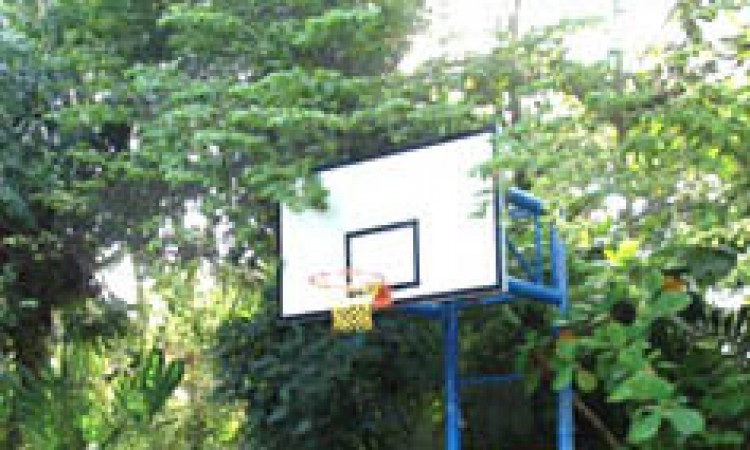 Basket ball court Basket ball court