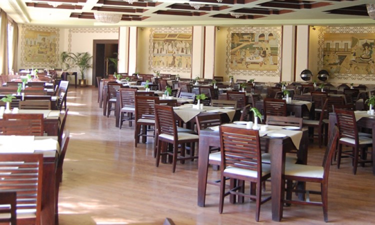 Dining Dining