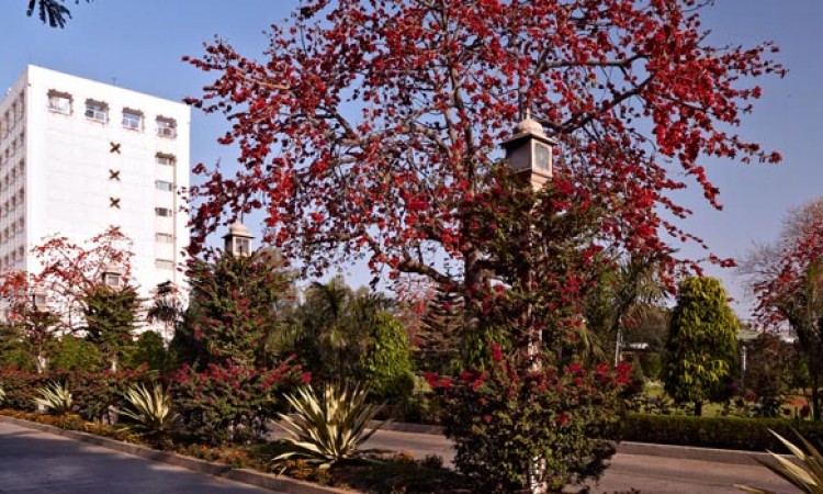 Hotel Hotel