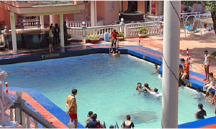 Swimming pool Swimming pool