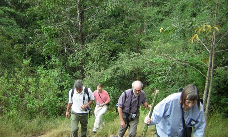 Trekking Trekking