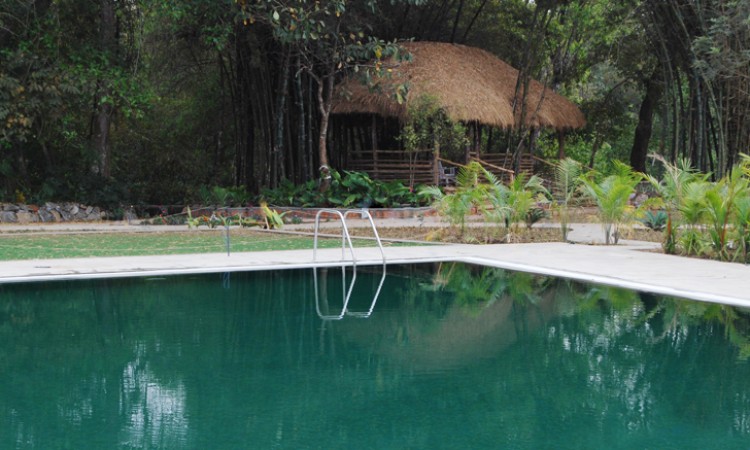 Pool view2 Pool view2