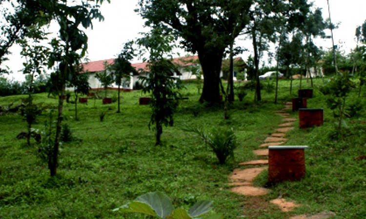 Natural view 1 Natural view 1