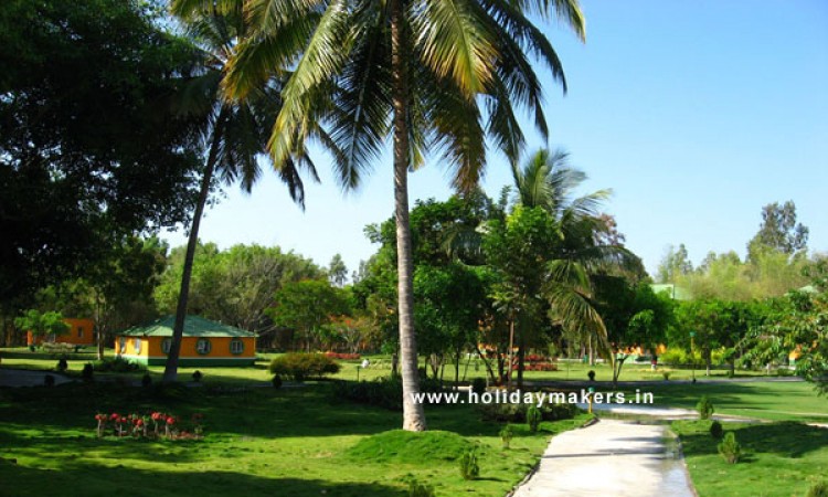 Lawn Lawn