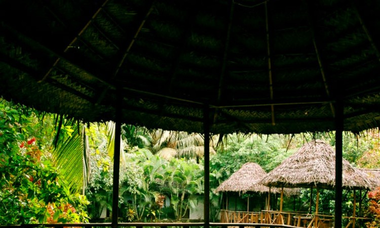 Restaurant Restaurant